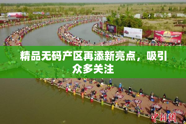 精品无码产区再添新亮点，吸引众多关注