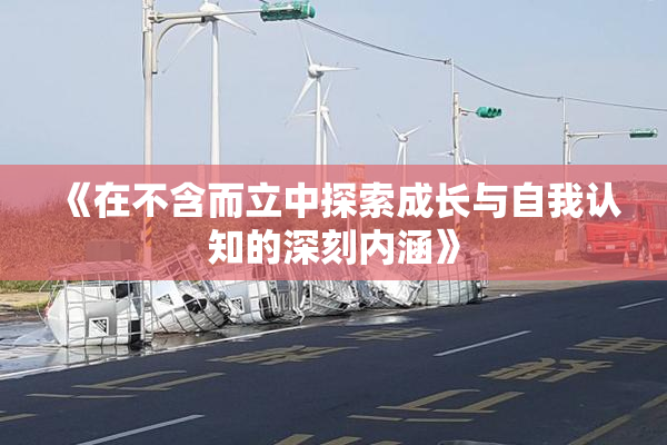 《在不含而立中探索成长与自我认知的深刻内涵》