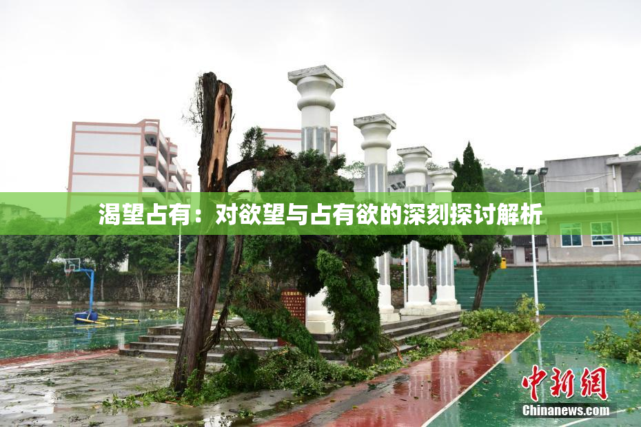 渴望占有：对欲望与占有欲的深刻探讨解析