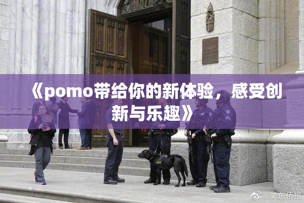 《pomo带给你的新体验，感受创新与乐趣》