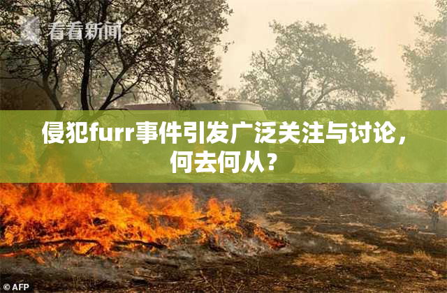 侵犯furr事件引发广泛关注与讨论，何去何从？
