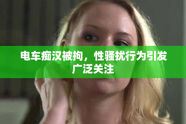 电车痴汉被拘，性骚扰行为引发广泛关注