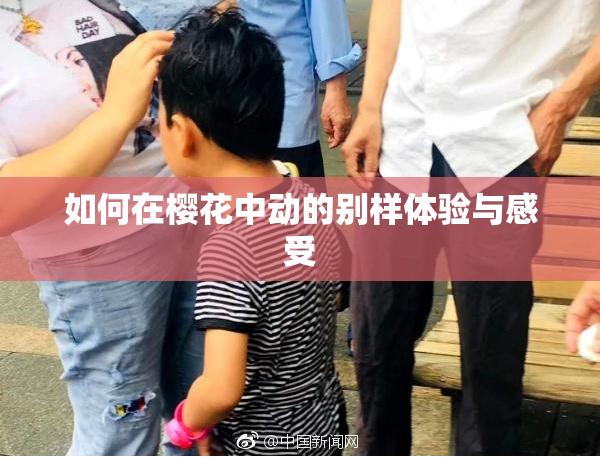 如何在樱花中动的别样体验与感受