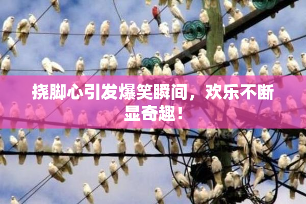 挠脚心引发爆笑瞬间，欢乐不断显奇趣！