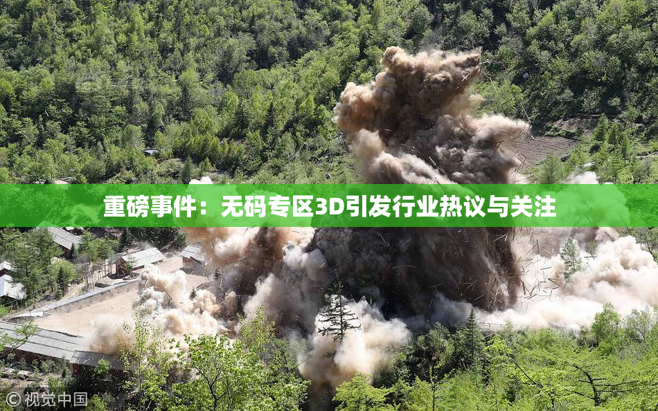 重磅事件：无码专区3D引发行业热议与关注