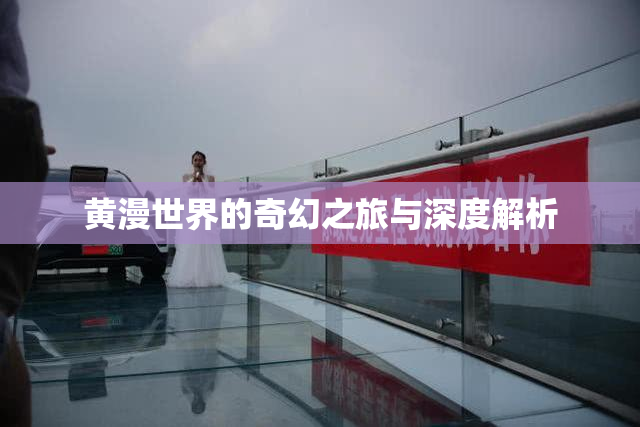 黄漫世界的奇幻之旅与深度解析