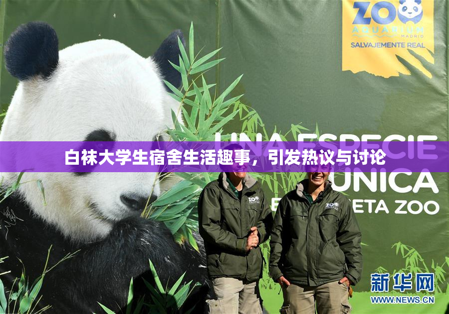 白袜大学生宿舍生活趣事，引发热议与讨论