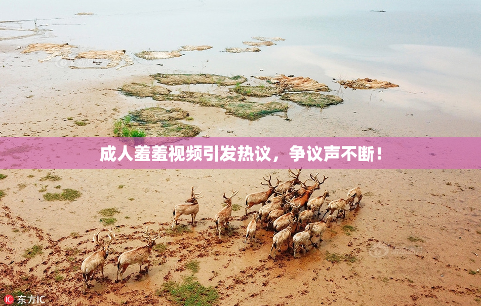 成人羞羞视频引发热议，争议声不断！
