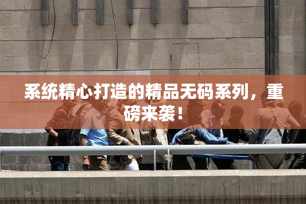 系统精心打造的精品无码系列，重磅来袭！