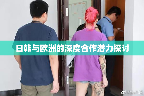 日韩与欧洲的深度合作潜力探讨