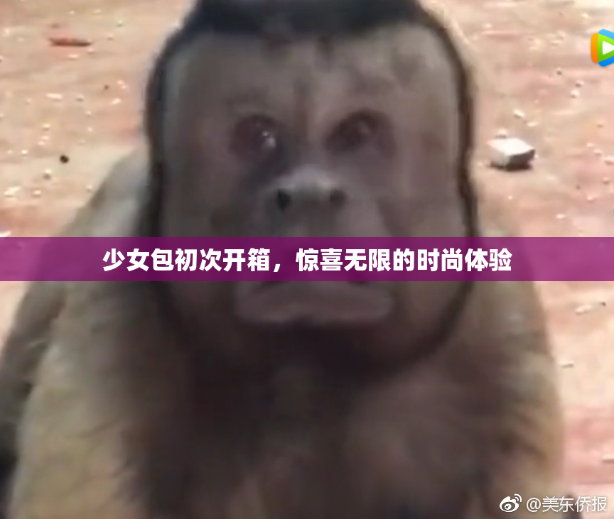 少女包初次开箱，惊喜无限的时尚体验