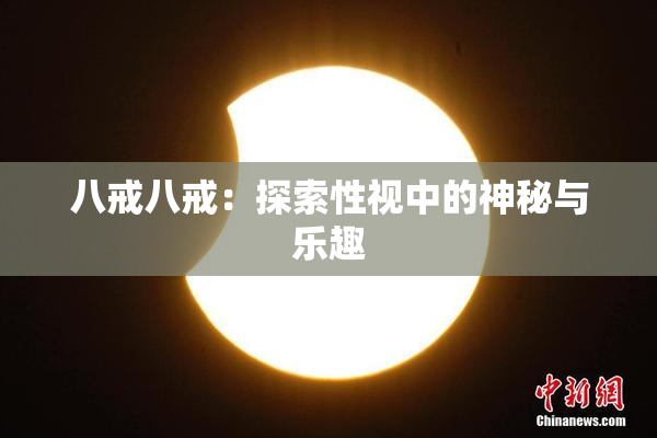 八戒八戒：探索性视中的神秘与乐趣