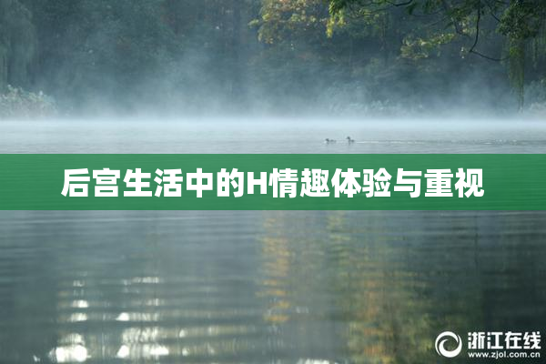 后宫生活中的H情趣体验与重视