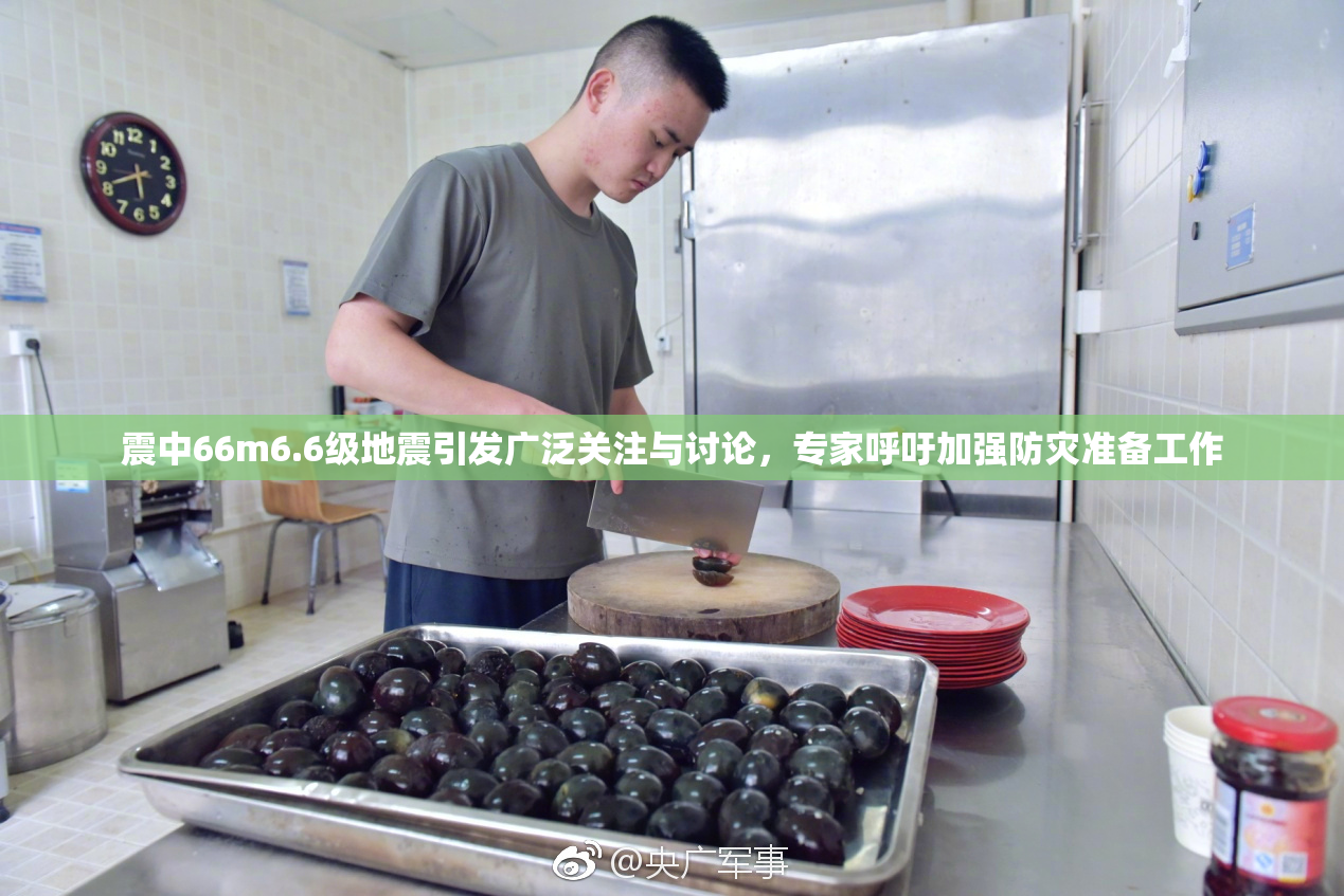 震中66m6.6级地震引发广泛关注与讨论，专家呼吁加强防灾准备工作
