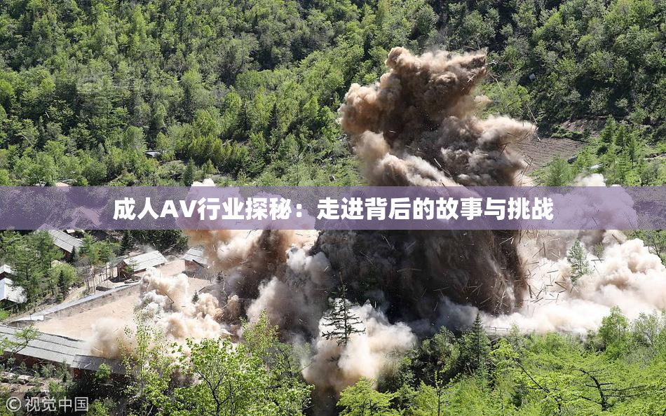 成人AV行业探秘：走进背后的故事与挑战
