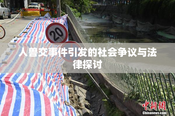 人兽交事件引发的社会争议与法律探讨