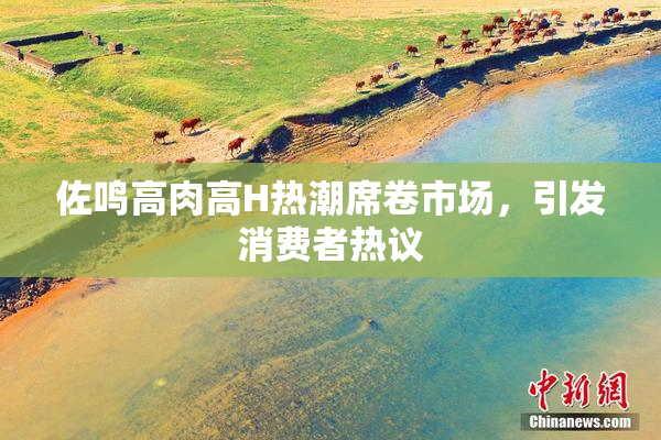 佐鸣高肉高H热潮席卷市场，引发消费者热议