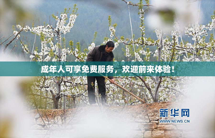 成年人可享免费服务，欢迎前来体验！