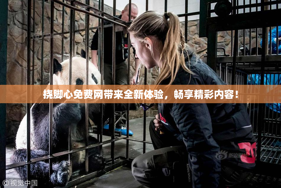 挠脚心免费网带来全新体验，畅享精彩内容！