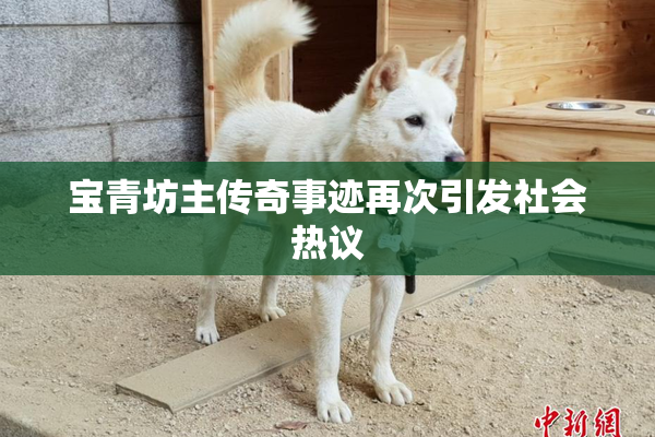 宝青坊主传奇事迹再次引发社会热议