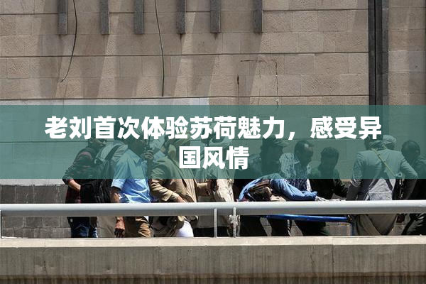 老刘首次体验苏荷魅力，感受异国风情
