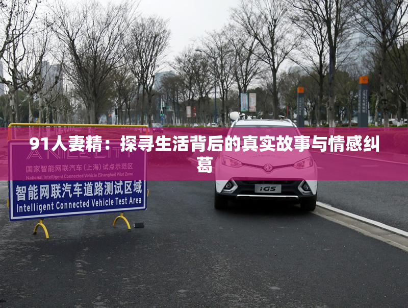 91人妻精：探寻生活背后的真实故事与情感纠葛