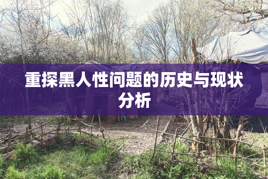重探黑人性问题的历史与现状分析