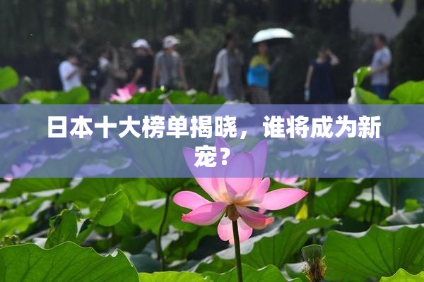 日本十大榜单揭晓，谁将成为新宠？