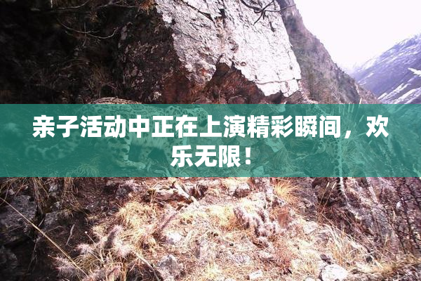 亲子活动中正在上演精彩瞬间，欢乐无限！