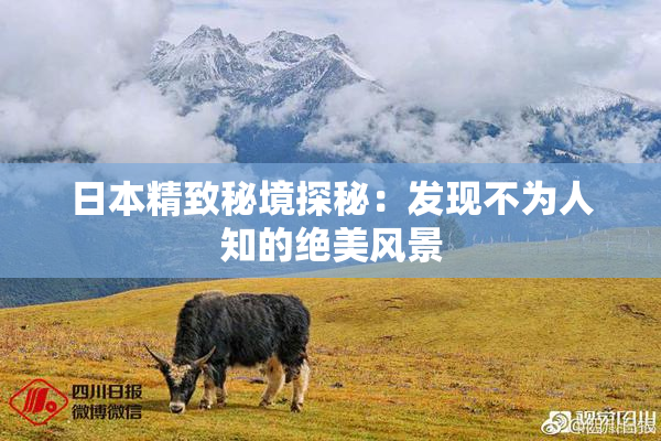 日本精致秘境探秘：发现不为人知的绝美风景
