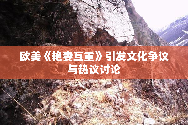 欧美《艳妻互重》引发文化争议与热议讨论