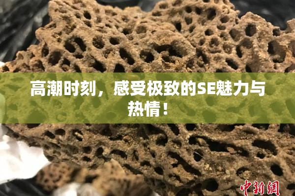 高潮时刻，感受极致的SE魅力与热情！