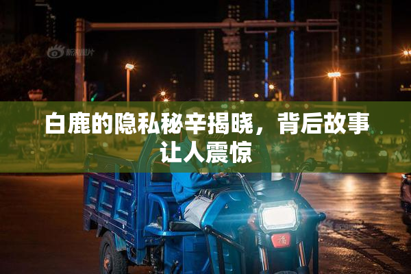 白鹿的隐私秘辛揭晓，背后故事让人震惊