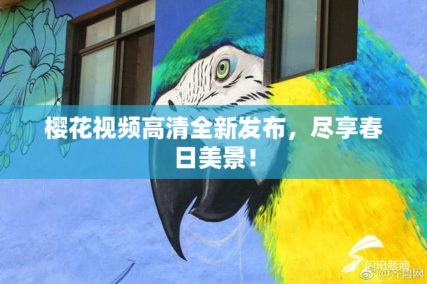 樱花视频高清全新发布，尽享春日美景！