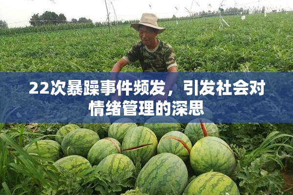 22次暴躁事件频发，引发社会对情绪管理的深思