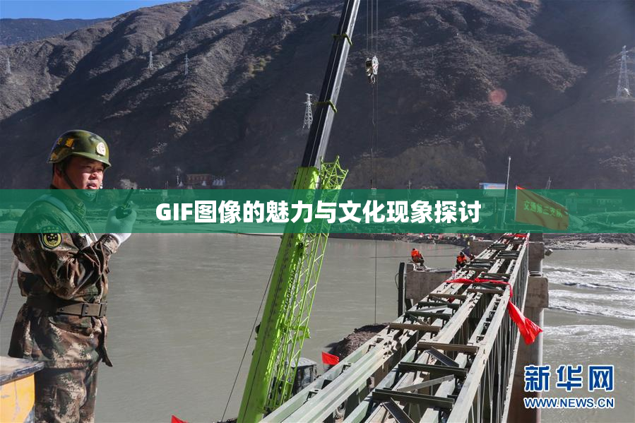GIF图像的魅力与文化现象探讨