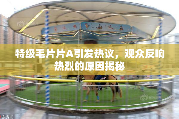 特级毛片片A引发热议，观众反响热烈的原因揭秘