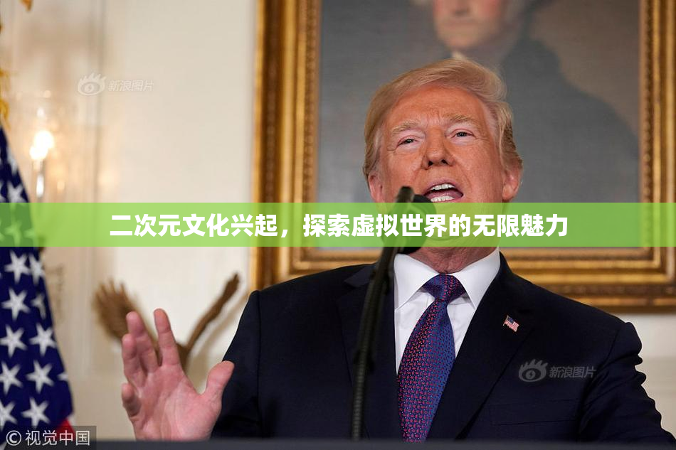 二次元文化兴起，探索虚拟世界的无限魅力