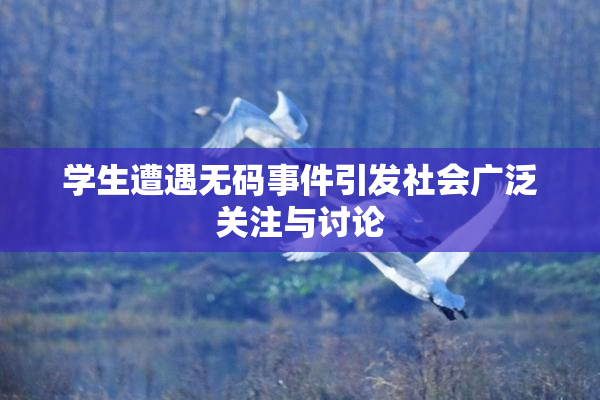 学生遭遇无码事件引发社会广泛关注与讨论