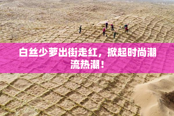 白丝少萝出街走红，掀起时尚潮流热潮！