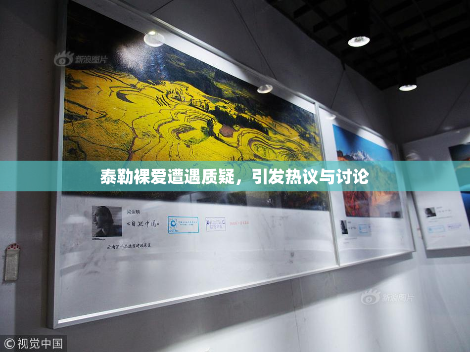 泰勒裸爱遭遇质疑，引发热议与讨论