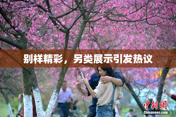别样精彩，另类展示引发热议