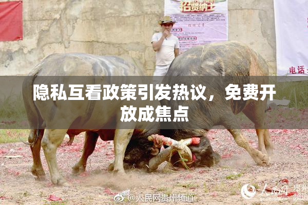 隐私互看政策引发热议，免费开放成焦点