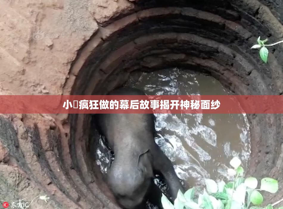 小泬疯狂做的幕后故事揭开神秘面纱