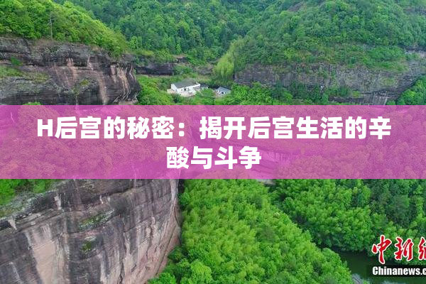 H后宫的秘密：揭开后宫生活的辛酸与斗争