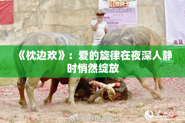 《枕边欢》：爱的旋律在夜深人静时悄然绽放