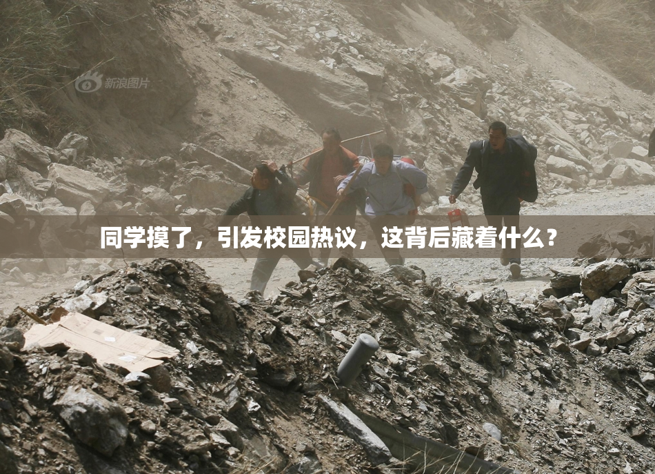 同学摸了，引发校园热议，这背后藏着什么？