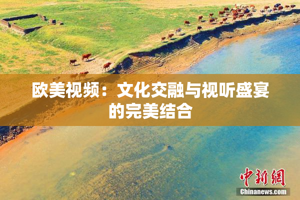 欧美视频：文化交融与视听盛宴的完美结合