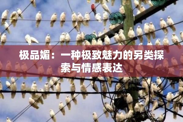 极品媚：一种极致魅力的另类探索与情感表达