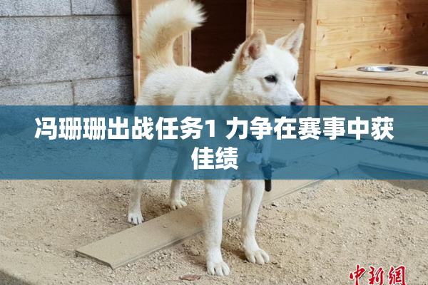 冯珊珊出战任务1 力争在赛事中获佳绩